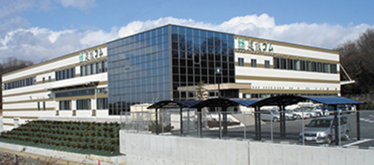 elm03at2x.jpg